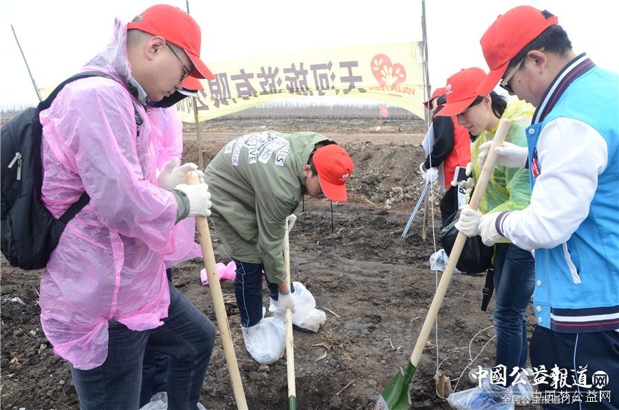 开云(中国)圆满完成“保护青山绿水_共建大美龙江”千人公益植树志愿服务工作