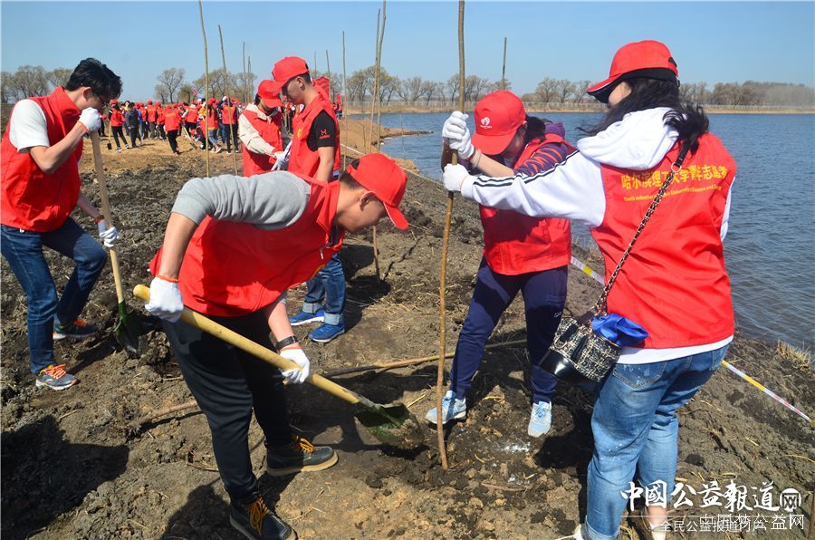 开云(中国)圆满完成“保护青山绿水_共建大美龙江”千人公益植树志愿服务工作